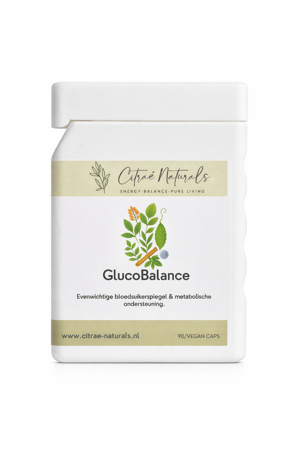 GLUKOSEBILANZ – STOFFWECHSEL UND ENERGIEBILANZ