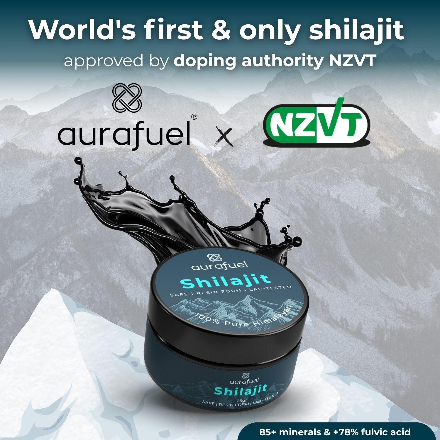Reines Shilajit-Harz aus dem Himalaya – 100 % authentisch und gereinigt
