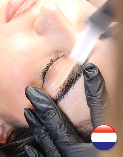 Online-Schulung Browstyling - Niederländisch (Mapping und Waxing)